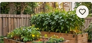 Raised Garden Beds