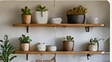 Kitchen Projects